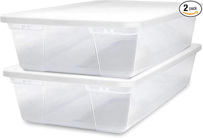 HOMZ 2-Pack Snaplock, Large Clear Plastic Storage Organizer Bins w/Lids by Homz