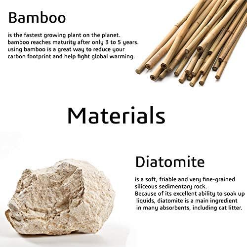 Matani Bamboo Toothbrush Holder Diatomite Tooth Brush Organizer - Image 6