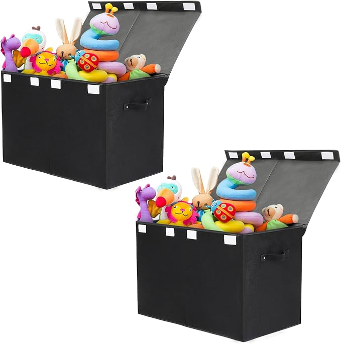 2 Pack Large Toy Box Chest Storage by popoly