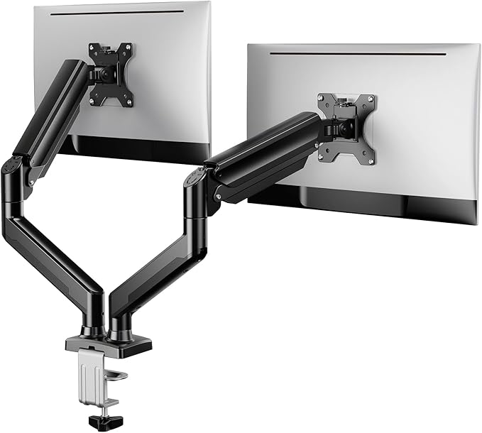 ErGear Dual Monitor Stand up to 32 inches Screen, Load-Bearing Max 22 lbs Each by ErGear