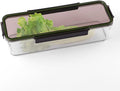 Celery Keeper for Refrigerator, Celery Storage Container by Unknown