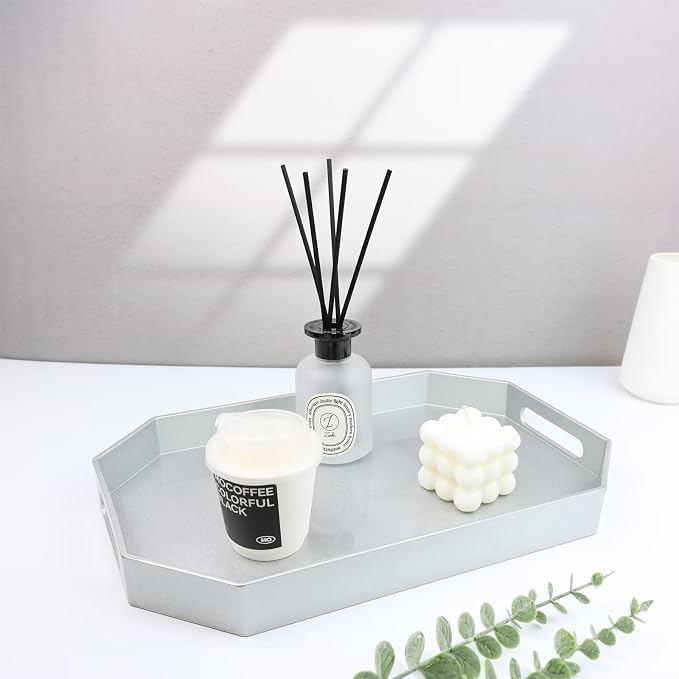 Spsyrine Silver Plastic Serving Tray - Image 2
