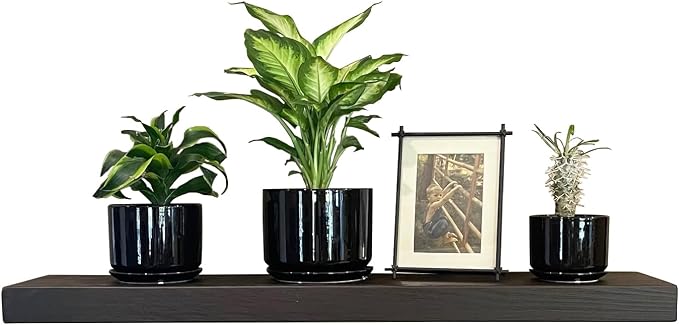 joelsantiques 30 Inch Wooden Floating Shelves by JoelsAntiques
