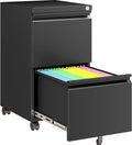 SISESOL Assembled 2 Drawer File Cabinet on Wheels, Metal Filing Cabinet by SISESOL