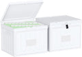 Oterri Plastic File Box with Lid by Oterri
