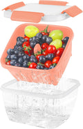 50oz Berry Keeper Fruit Storage Container by Shopwithgreen