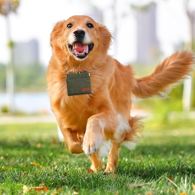 2PC Dog Treat Pouch, Dog Training Treat Reward Bag, Portable Puppy Hand Free - Image 6