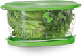 Prep Solutions by Progressive Lettuce Keeper Produce Storage Container by ProgressiveInternational