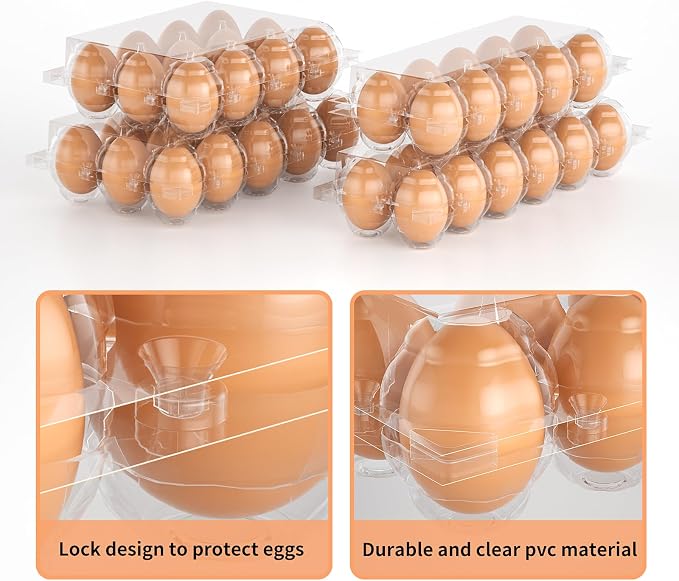 50 Pack Plastic Egg Cartons Cheap Bulk 12 Count Clear Blank Egg Containers - Image 4