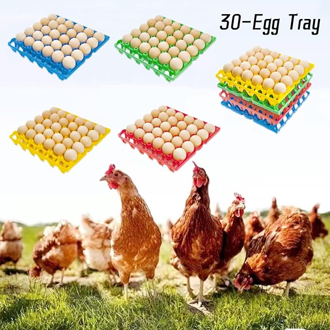 8-Pack Plastic Egg Tray Egg Crates 30-Egg Flats - Image 6