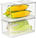 Large Lettuce Keeper Crisper, Vegetable Salad Storage Containers by blitzlabs