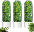 Herb Saver for Refrigerator, Cilantro Container for Fridge, Fresh Herbs Lettuce by Unknown