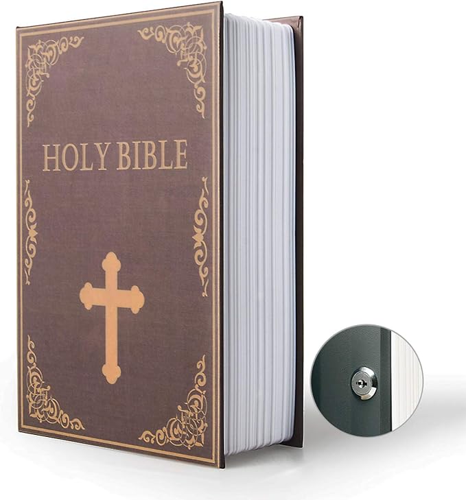 Diversion Book Safe Storage Box, Dictionary Secret Safe by PACOLO