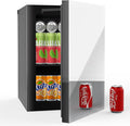 24 Cans/20L Beverage Refrigerator Cooler and Skincare Mini Fridge by Erivess