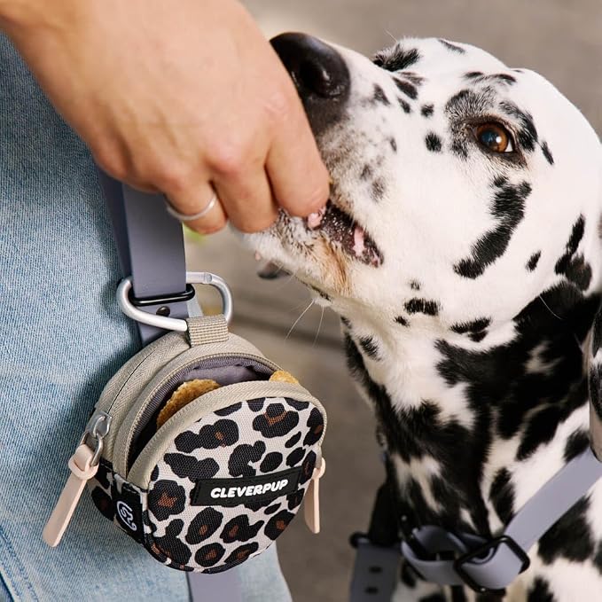 Snackpack Double Insulated Dog Treat Pouch - Image 3