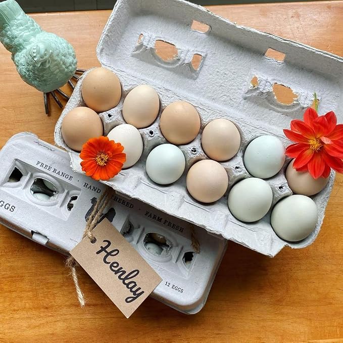 90 Egg Cartons- Adorable Printed Vintage Design - Image 7