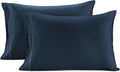 LANE LINEN Pillows Queen Size Set of 2, Soft 100% Egyptian Cotton, Cool & by LaneLinen