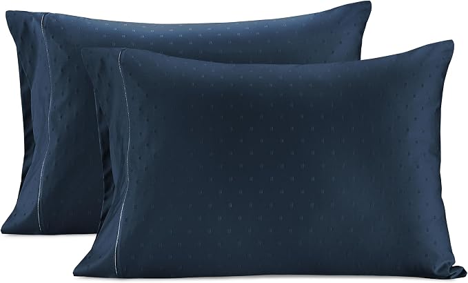 LANE LINEN Pillows Queen Size Set of 2, Soft 100% Egyptian Cotton, Cool & by LaneLinen