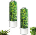 Cilantro Container for Fridge, Herb Saver for Refrigerator by Unknown