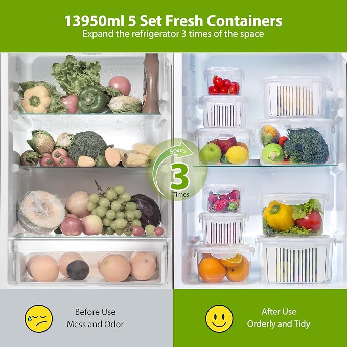 LUXEAR Larger Fruit Vegetable Produce Storage Saver Containers - Image 3