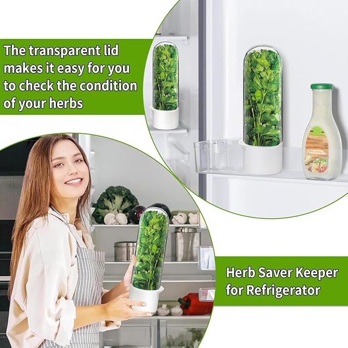 Cilantro Container for Fridge, Herb Saver for Refrigerator - Image 5
