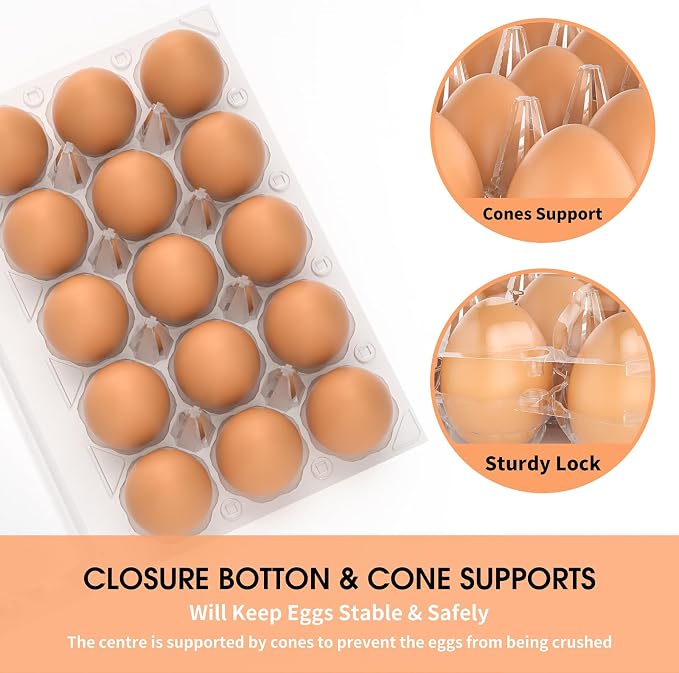 100 Pack Egg Cartons Cheap Bulk 12 Count Clear Plastic Egg Containers - Image 3