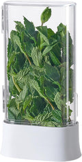 vacane Herb Keeper for Refrigerator, Fresh Herb Saver Herb Storage Containers by vacane