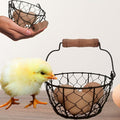 TAIANLE.Small Wire Egg Collecting Basket by TAIANLE