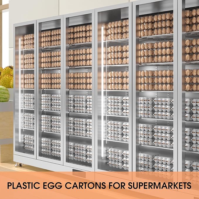 50 Pack Plastic Egg Cartons Cheap Bulk 12 Count Clear Blank Egg Containers - Image 8