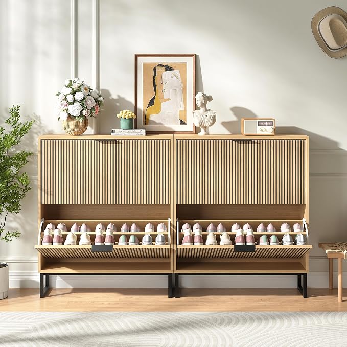 Shoe Storage Cabinet for Entryway - Image 3