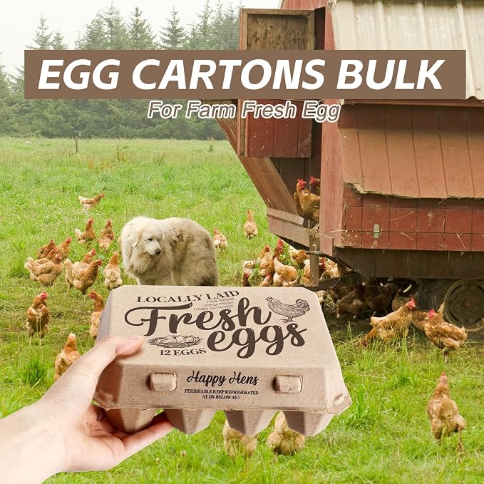 Zhanmai 50 Pcs Natural Paper Pulp Egg Cartons Blank Bulk 12 Count Dozen Vintage - Image 4