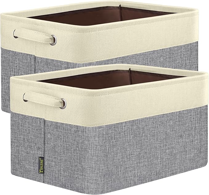 BALEINE 2 Pack Fabric Storage Bins by BALEINE