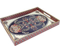 Spsyrine Plastic Serving Tray for Ottoman, Coffee Table, Rectangle Decorative by Spsyrine