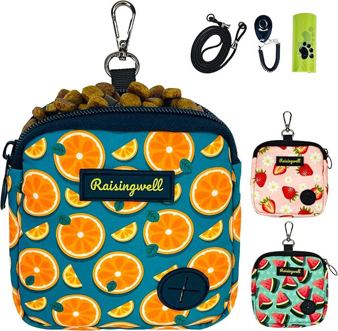 Dog Treat Pouch for Pet Walking and Training by Raisingwell