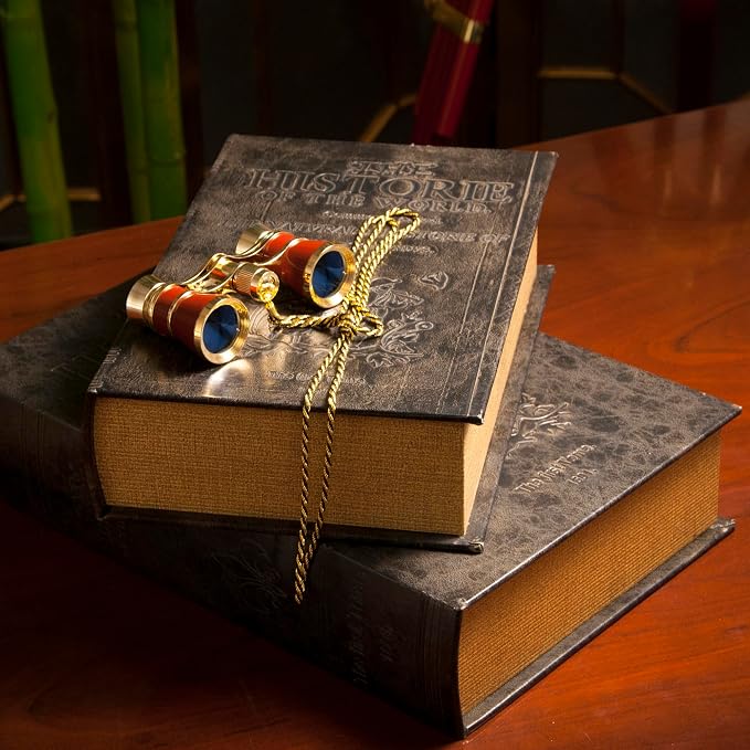 Barska Large Antique Book Lock Box - Image 2