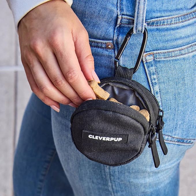 Snackpack Double Insulated Dog Treat Pouch - Image 3