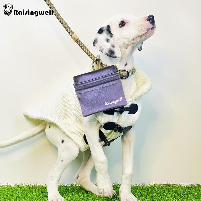Dog Treat Pouch, Pocket Sized Pet Training Pouch, Hand Free Purple Dog Walking - Image 5