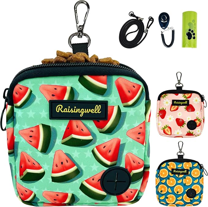 Dog Treat Pouch for Pet Walking and Training by Raisingwell