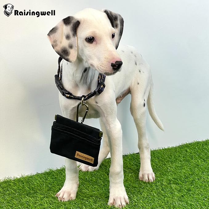 Dog Treat Pouch, Cotton Fabric, Hand Free Dog Walking Bag - Image 5