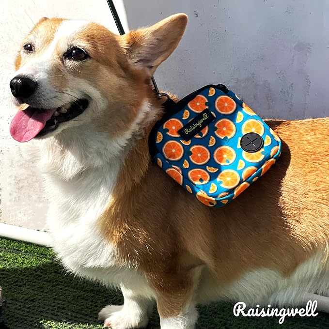 Dog Treat Pouch for Pet Walking and Training - Image 7