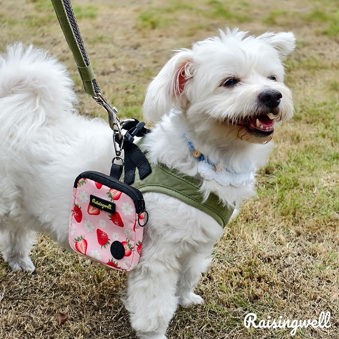 Dog Treat Pouch for Pet Walking and Training - Image 7