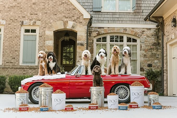 Harry Barker Pet Food Storage Collection, Classic Silver Food Storage - Image 3