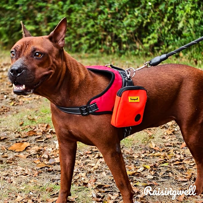 Dog Treat Pouch for Pet Walking and Training - Image 7